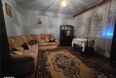 Casă cu 4 camere cu Teren 4000 Mp în Cociuba Mare - 17