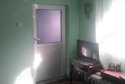 Vand Casa pe Magurele sau schimb cu apartament - 5