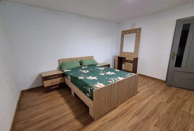 Casă cu 1 camere cu Teren 1972 Mp în Păuliș - 8