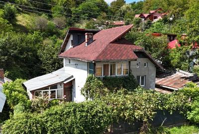 Casa ora? Brezoi jud. Valcea - 3