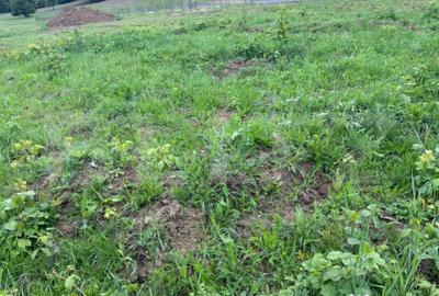 Teren de 3336 mp, în Central - 2