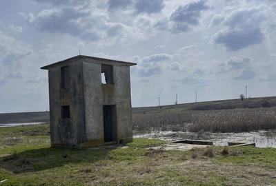 Teren de 120000 mp, în Drăgănești-Vlașca - 1