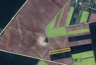 Teren agricol extravilan de 17000 mp, în Central - 1