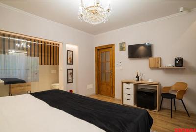 Ultracentral- vila lux- amenajata Pensiune- afacere la cheie - 10