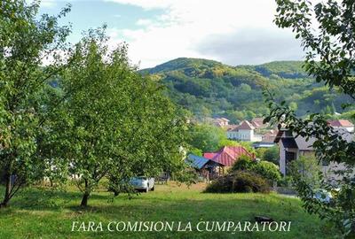 TEREN 1869 MP, CADRU NATURAL SUPERB, TOATE UTILITATILE - 10