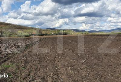 Teren de 4300 mp, în Feleacu