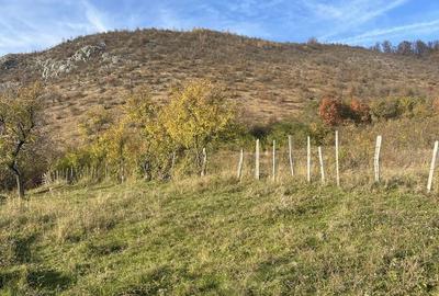 Teren de 5000 mp, în Baia de Fier - 3