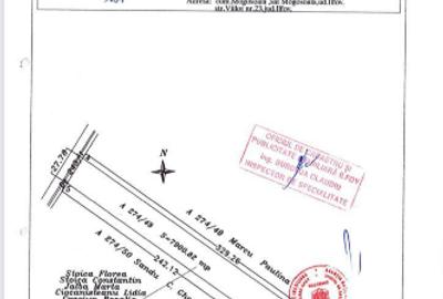 Teren Construcții intravilan de 8000 mp, în Corbeanca - 2