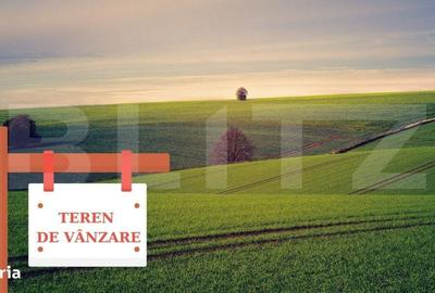 Spațiu comercial, în Bara - 1