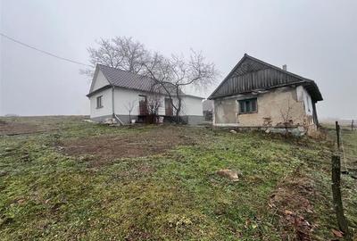 RECO, casa in Sinteu, aproape de Huta Slavia - 5