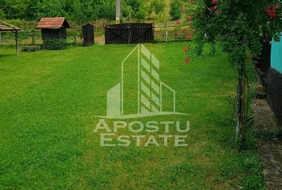 Casa batraneasca de vanzare | 4 camere | Hunedoara | Micane?ti - 13