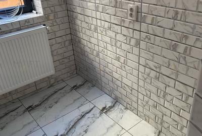 Casă individuală cu 4 camere cu Canalizare în P-ța Alba Iulia - 31