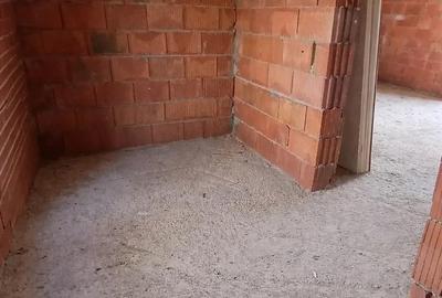 Casă cu 2 camere cu Teren 987 Mp în Peciu Nou - 4
