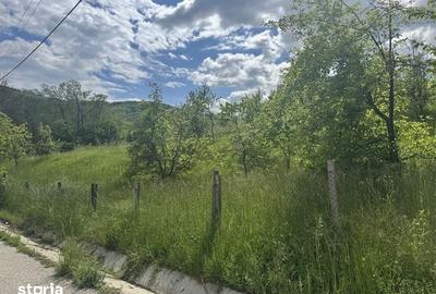 Teren de 1719 mp, în Văleni-Dâmbovița - 7