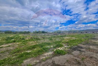 Teren Construcții intravilan de 36812 mp, în Nord - 5