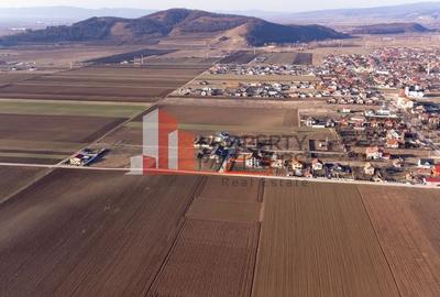 Casa cu teren 1500 mp in Harman - 29