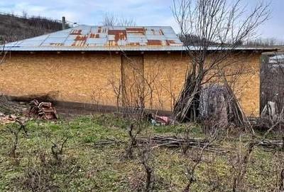 Casă cu 2 camere în Bursuci - 4