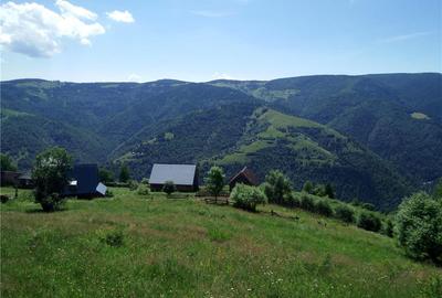 Teren de 5619 mp, în Măguri - 1