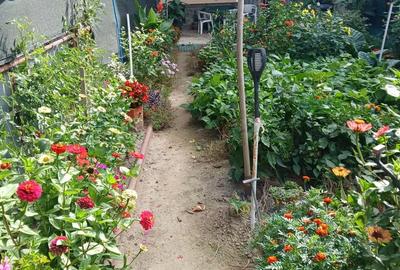 Apartament cu 4 camere decomandat în 14 Mai - 7