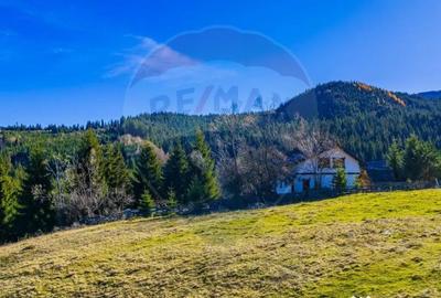 Teren de 13800 mp, în Fundățica - 8