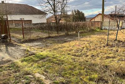 Teren de 8000 mp, în Simeria Veche - 2