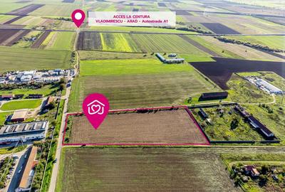 Teren Construcții intravilan de 19800 mp, în Sânnicolau Mic - 2
