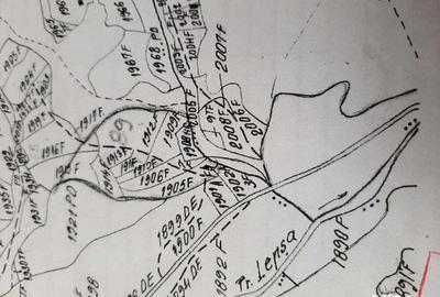 Teren de 1500 mp, în Lepșa - 1