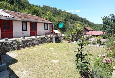 Casă individuală cu 12 camere cu Teren 1803 Mp în Central - 15