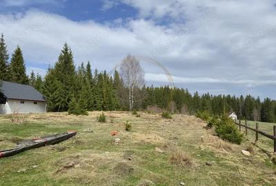 Teren de 1190 mp, în Mărișel - 17