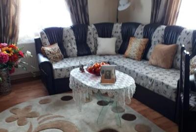 Casa / Vila ( P + E + Pod ) Zona Mitocul Dragomirnei - 7