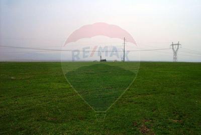 Teren extravilan, arabil de vanzare, in Dobolii de Jos, ...