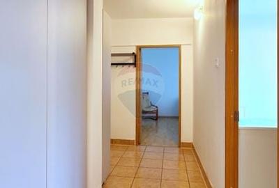 Apartament cu 2 camere decomandat, mobilat în Dristor - 23