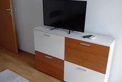 Casă cu 4 camere cu Teren 315 Mp în Dumbrăvița - 10
