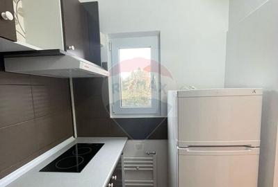 Apartament cu 1 camera de inchiriat in Micalaca - 8