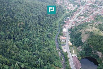 Teren Construcții intravilan de 13861 mp, în Est - 14