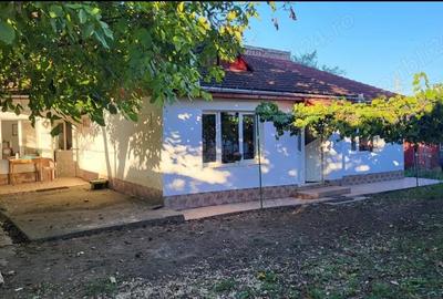 Casă cu 3 camere cu Teren 1000 Mp în Central - 4