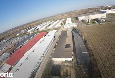 Spațiu comercial, de 580 mp, în Vetiș - 8