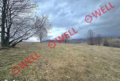 Teren de 2702 mp, în Vama Buzăului - 3
