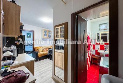 Garsonieră semidecomandată în Dacia - 15