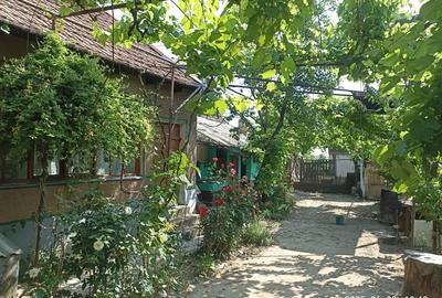 Casa la Parhida - 8