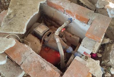 Casă cu 2 camere cu Teren 1439 Mp în Brădișoru de Jos - 2