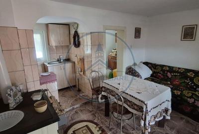 Casă cu 4 camere cu Teren 3800 Mp în Prundu Bârgăului - 7