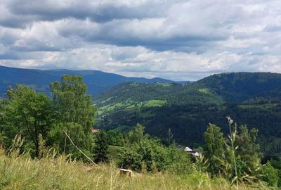 Teren de 2263 mp, în Horea - 4