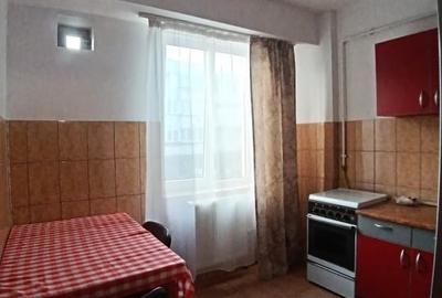APARTAMENT CU O CAMERA-LA 5 MINUTE DE FSEGA/IULIUS MALL - 8