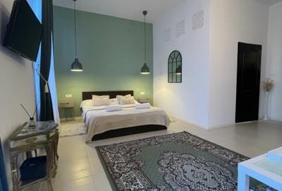 Apartament istoric in Piata Iosefin Amenajat pentru Booking/AirBnb - 10