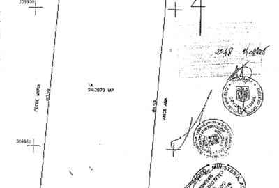 Vand teren Gorneni/Iepuresti/Giurgiu 3700 intravilan + 3400 extravilan - 4