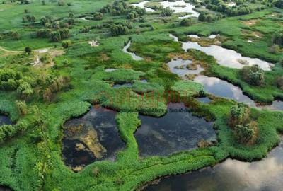 Apartament cu 3 camere decomandat în Văcăresti - 2