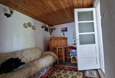 Balilesti - Stradal, casa spatioasa, 4600 mp teren intravilan - curte spatioasa - 19