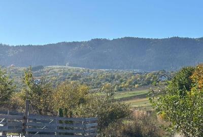 Teren de 631 mp, în Agapia - 8