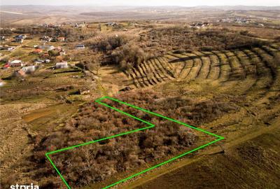 Teren de 3464 mp, în Oncea - 10